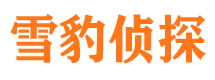 珠山市私家侦探